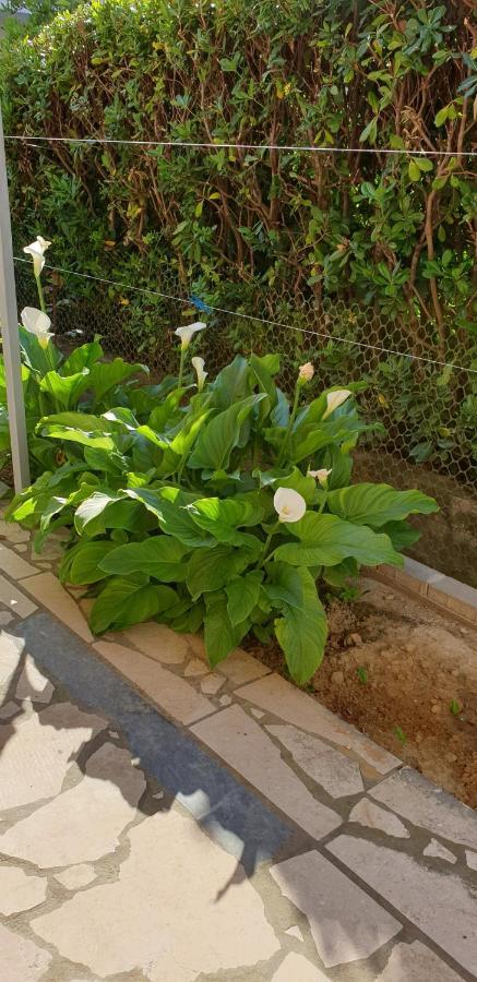 Apartments Ivanovski Rab Town Ngoại thất bức ảnh
